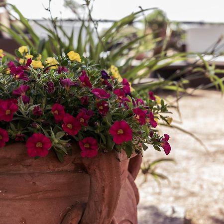 B&B Al Vecchio Forno มอนติปุลเชียโน ภายนอก รูปภาพ