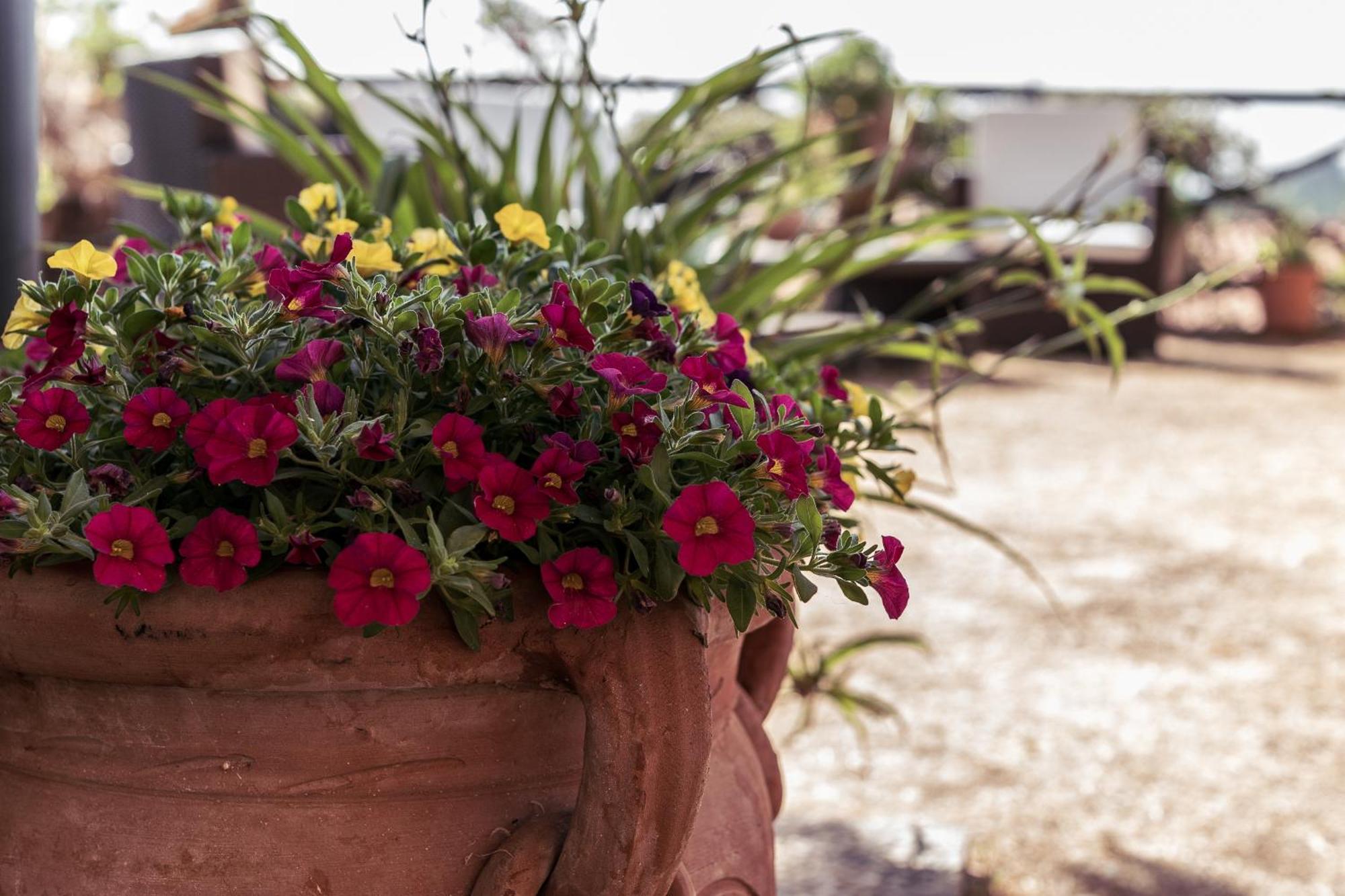 B&B Al Vecchio Forno มอนติปุลเชียโน ภายนอก รูปภาพ