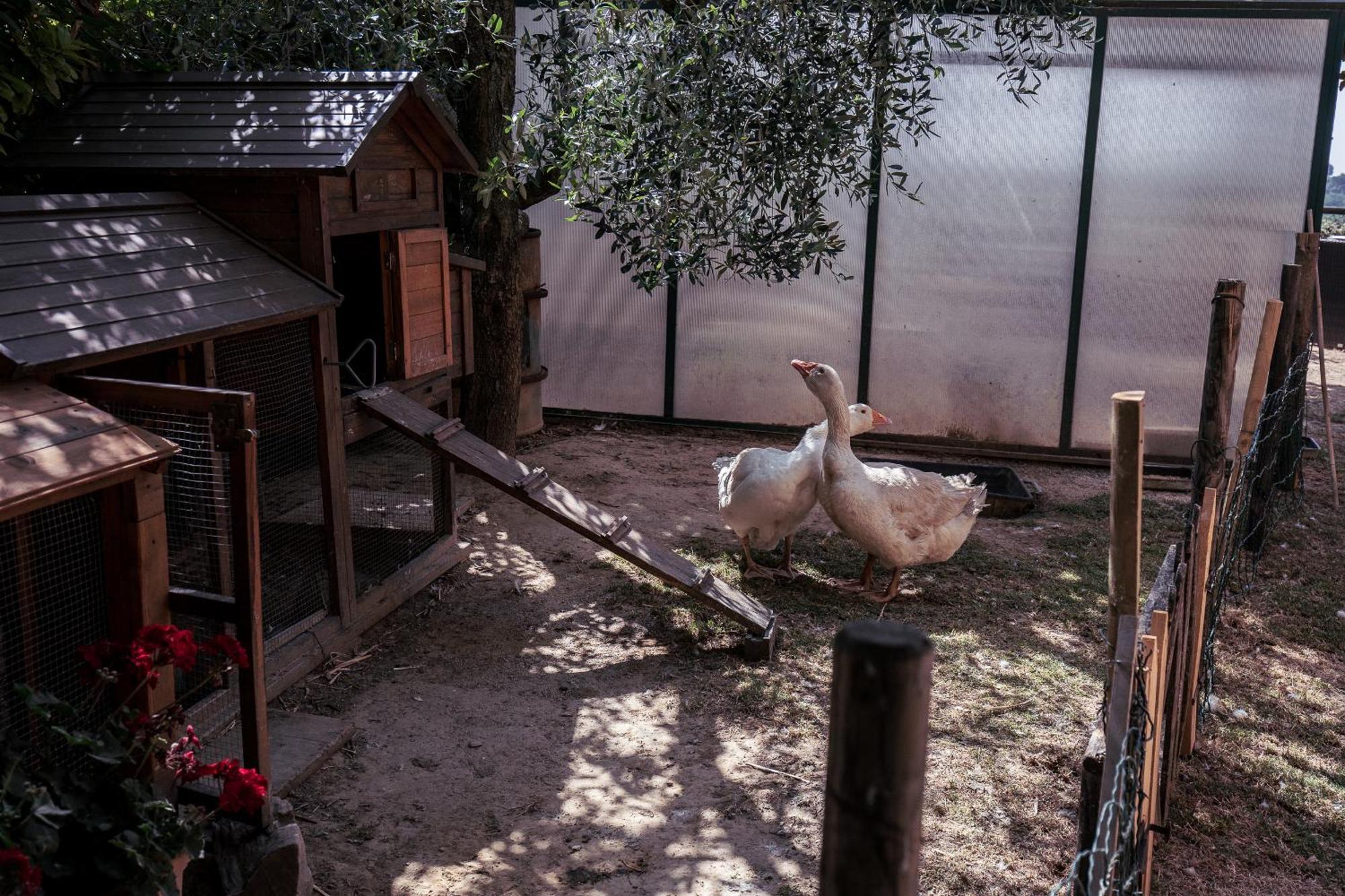 B&B Al Vecchio Forno มอนติปุลเชียโน ภายนอก รูปภาพ